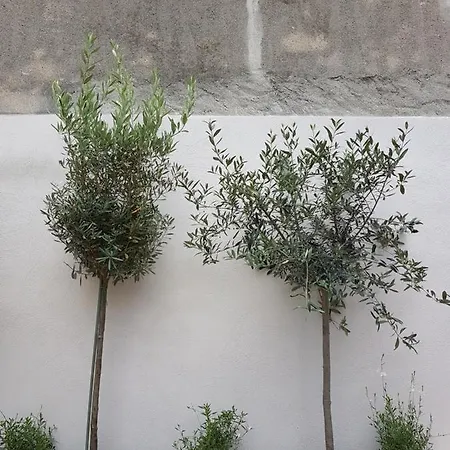 Maison Vue Cite 2 Nyaraló